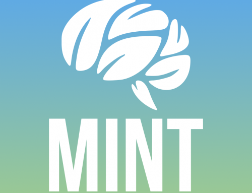 MINT: Mental Health In Non-Formal Education And Training