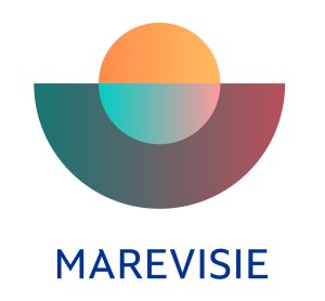 Marevisie